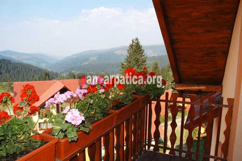 Imagine balcon decorat cu flori in pensiunea Luceafarul din Pojorata unde se poate admira natura si frumusetile sale