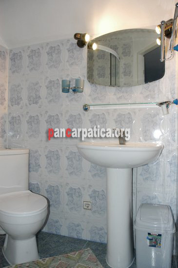 Imagine a baii in pensiunea Monica din Vatra Dornei