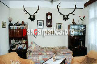 Imagine interior cu exponate de vanatoare, tv, fotolii si canapea confortabila in pensiunea la Gorita-Vama