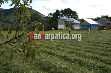 Imagine curte la pensiunea Casa Gheorghita din Manastirea Humorului unde turistii se pot relaxa in mijlocul naturii