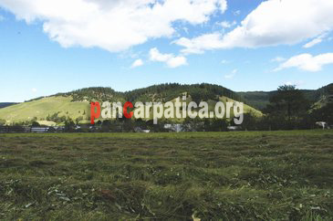 Imagine din localitatea Manastirea Humorului unde turistii se pot simti ca acasa daca se cazeaza la pensiunea Casa Gheorghita