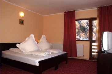 Imagine camera cu 2 paturi simple eleganta curata cu televizor si cu ferestre largi orientate spre padure
