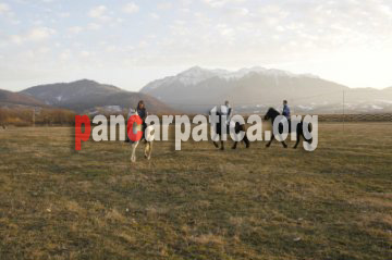 Se organizeaza cursuri de calarie in cadrul hergheliei de cai din pensiunea Panicel-Rasnov