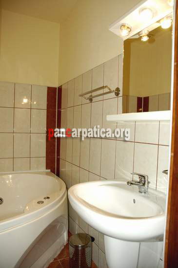 Imagine a baii cu cada din interiorul pensiunii Alpin-Rasinari