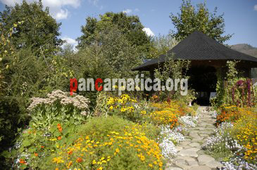 Imagine foisor din lemn in gradina cu flori ce are o suprafata de 300 mp in curtea interioara a pensiunii Casa Aurora din Vama