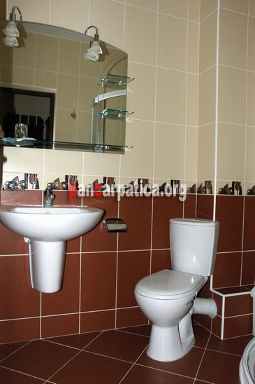 Imagine baie cu cabina de dus in pensiunea Musatini din Putna