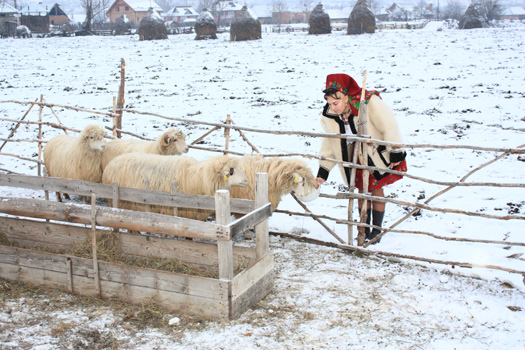 Voichita Serba - Maramures